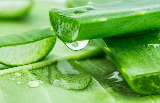 庫(kù)拉索蘆薈提取物的護(hù)膚功效與作用有哪些？